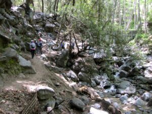 Hiking Mt Wilson via Chantry Flats - SoCalHiker