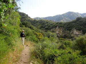 Hiking Mt Wilson via Chantry Flats - SoCalHiker