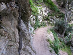 Hiking Mt Wilson via Chantry Flats - SoCalHiker