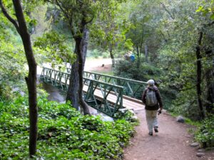 Hiking Mt Wilson via Chantry Flats - SoCalHiker