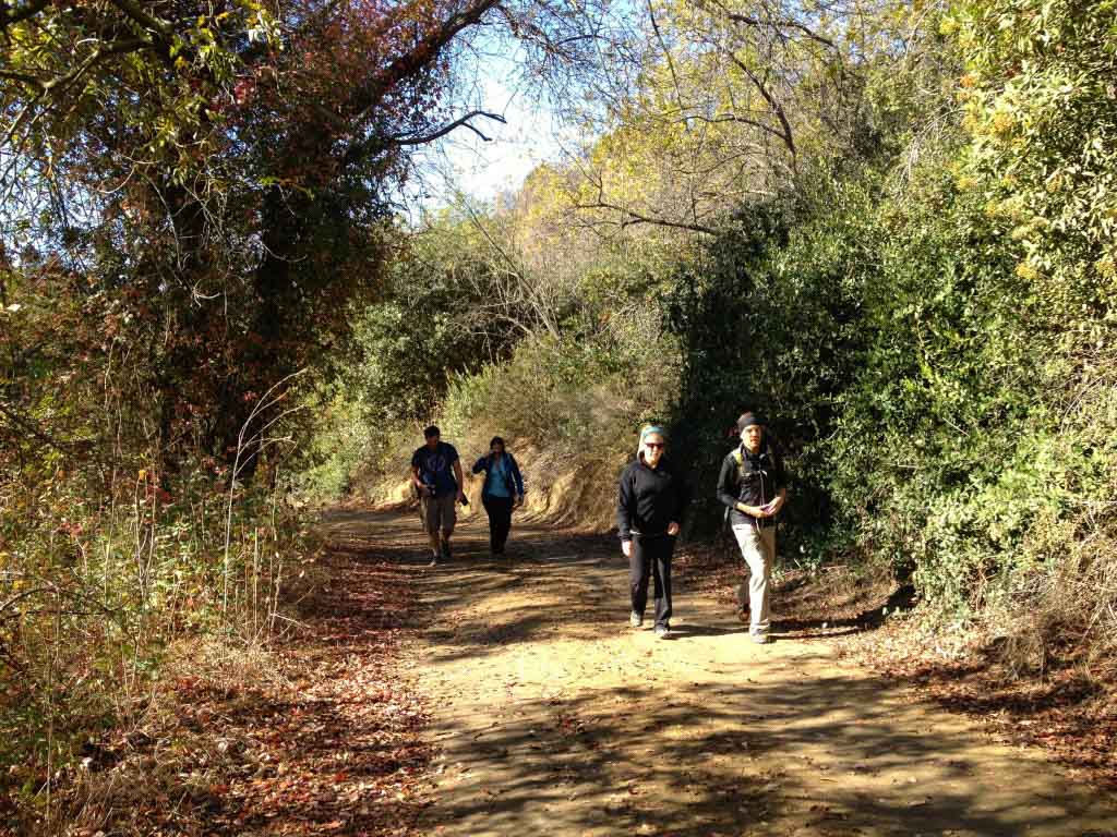 Bloggers, hiking