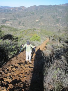 Trekking poles are useful on this trail