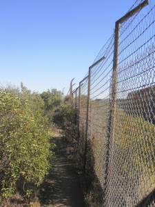 Turn left and follow the trail along the fence