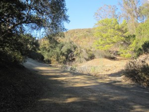 Bee Rock and Old Zoo in Griffith Park