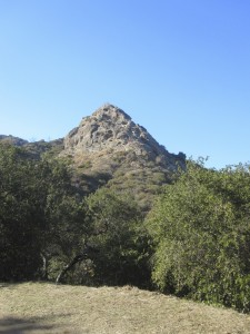 It looks like a bee hive -- if you squint and use your imagination.