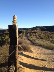 The Trail Ahead