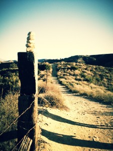 Peters Canyon Loop - SoCal Hiker