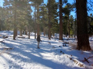 Snowshoeing is like hiking