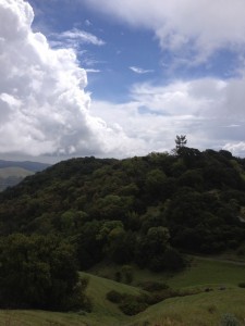 Sugarloaf Ridge