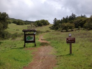Lower Bald Mountain Trailhead