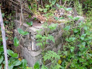 Foundation from a Fish Canyon cabin
