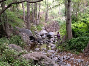 Fly fishing in Fish Canyon