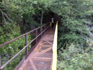 Bridge at the Fish Canyon trailhead