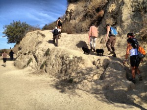 Hiking Mt. Hollywood in Griffith Park