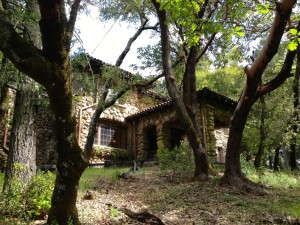 House of Happy Walls