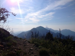 View towards Mt Wilson