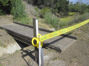 20110606-032334.jpg