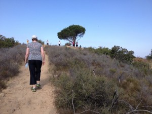 Approaching the summit of Burbank Peak