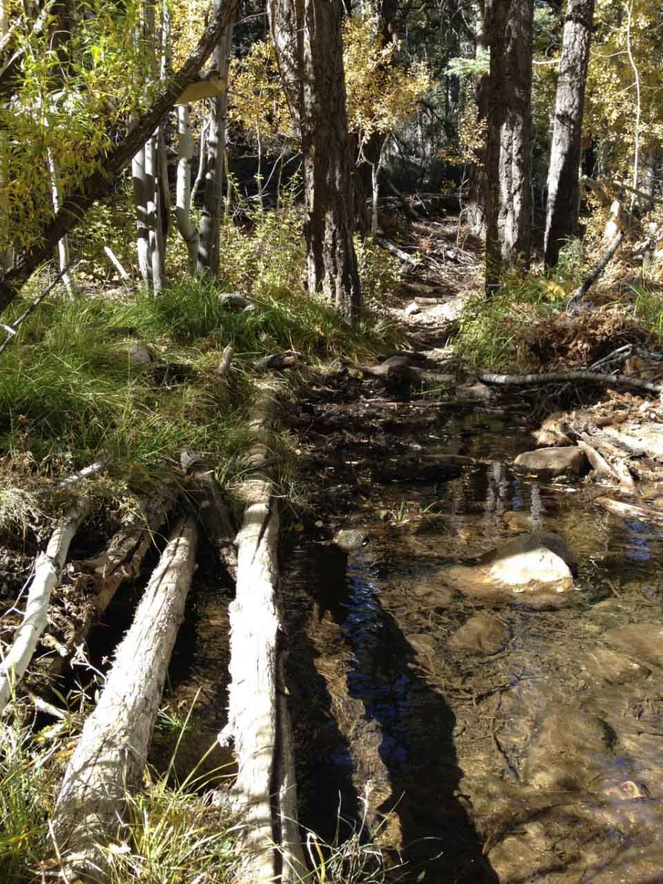 Fish Creek Crossing