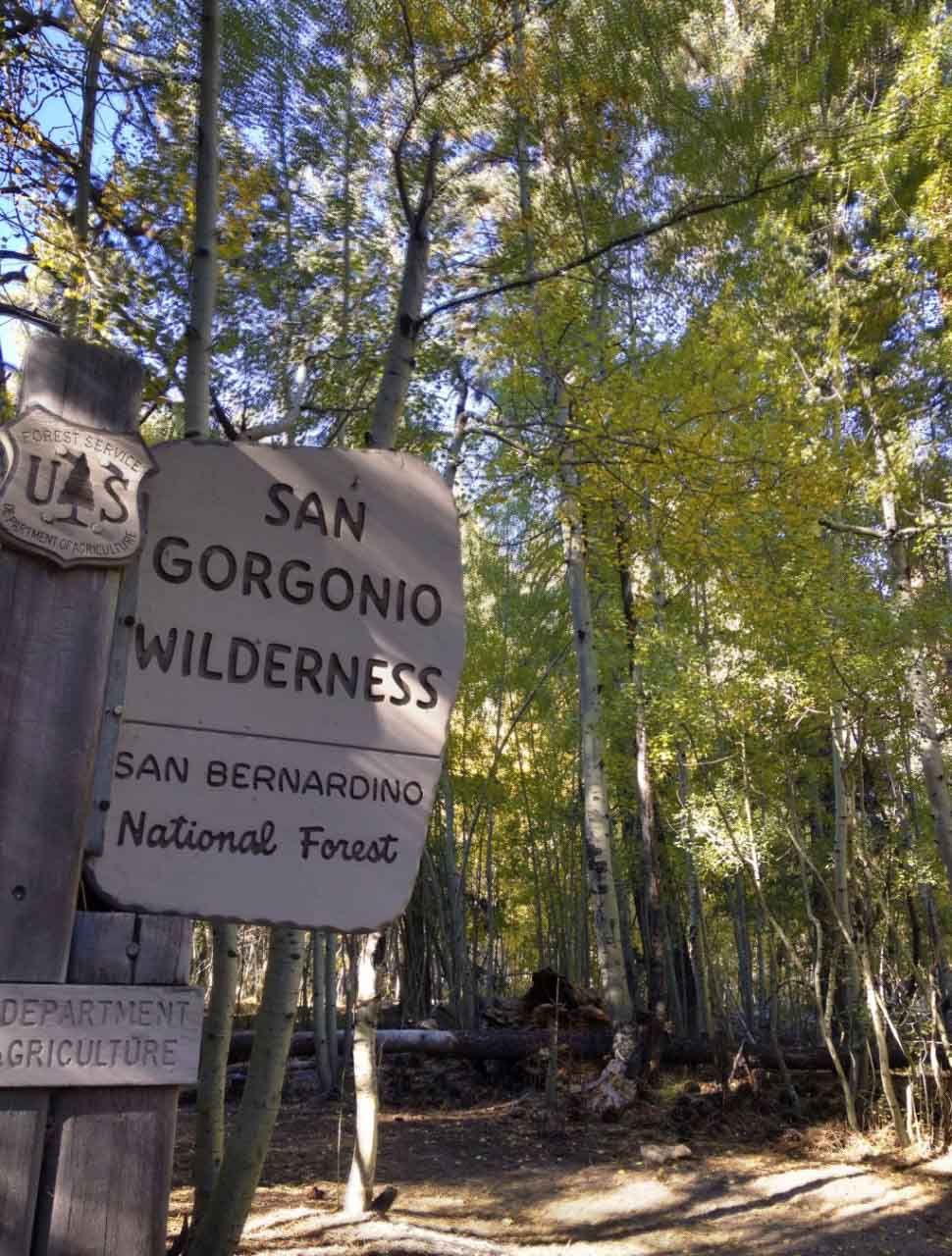 Entering the San Gorgonio Wildnerness