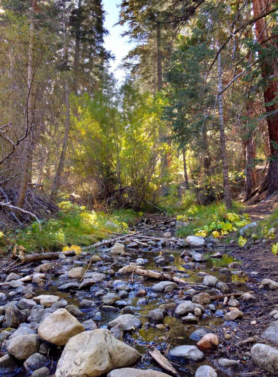 Fish Creek