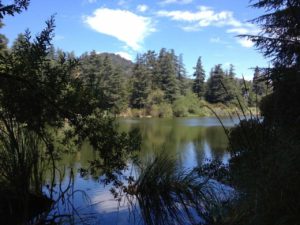Franklin Canyon Reservoir Loop