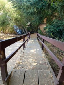 Go Down these Stairs