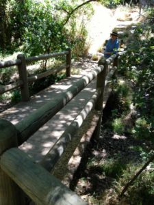 Bridge Over Babbling Brook