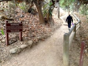 Temescal Ridge Trailhead