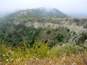 Interesting geology