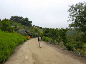 christianitos-trail