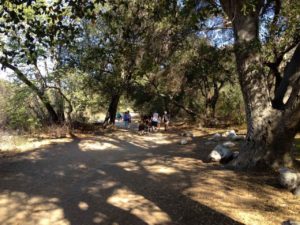 In the shade of Eaton Canyon