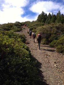 Climbing up and down
