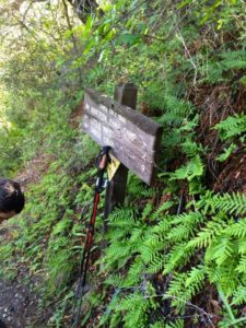 Trail Junction