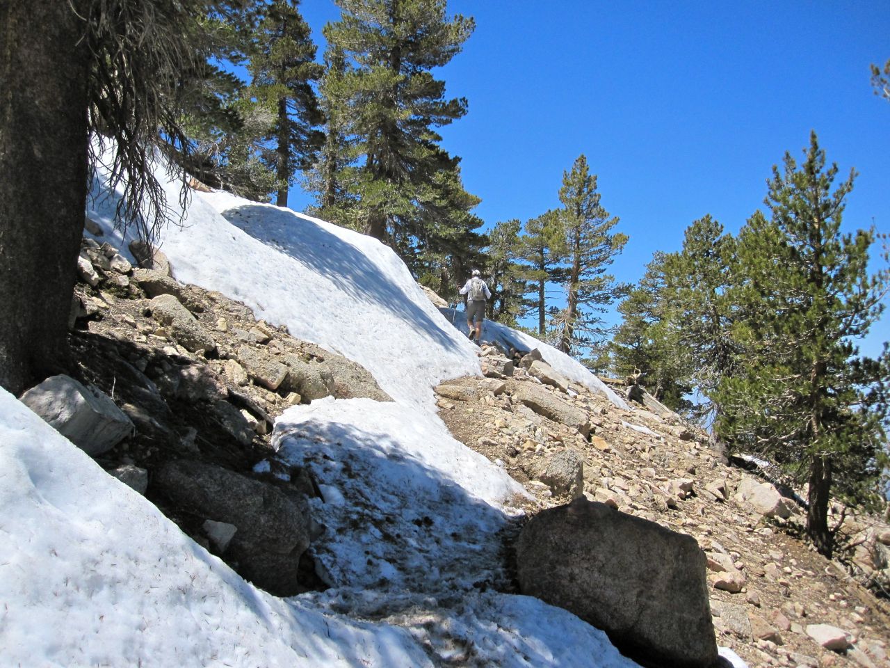 Hiking to San Bernardino Peak via Angelus Oaks