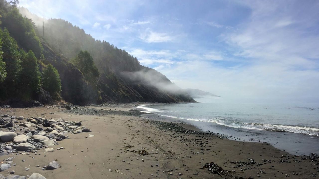 The Lost Coast Trail