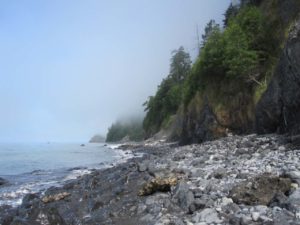 Hiking the Lost Coast is Best Done Slowly