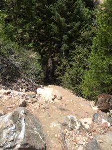 Detour to Cooper Canyon Falls