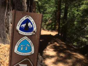 Trail Markers