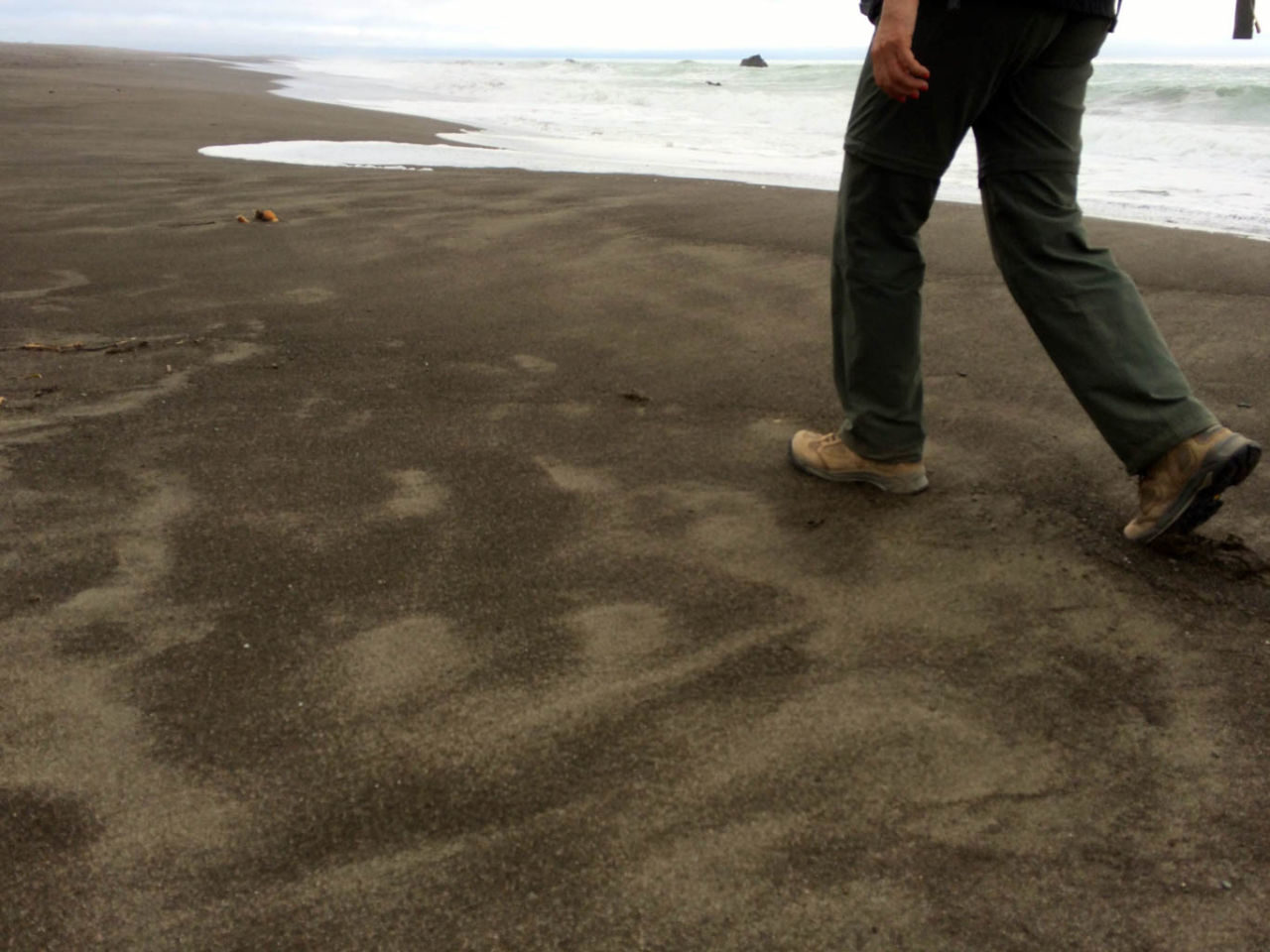 Hiking the Lost Coast