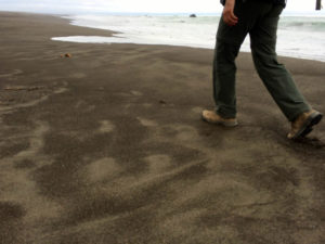 Hiking the Lost Coast