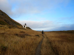 Lost Coast Trail: Mattole Beach to Sea Lion Gulch – SoCal Hiker