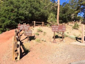 Hiking Mt Baden-Powell
