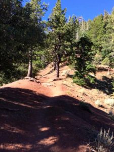 Hiking Mt Baden-Powell