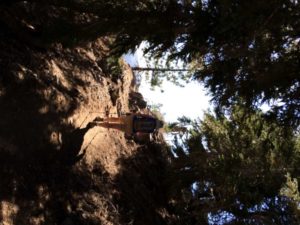 Hiking Mt Baden-Powell
