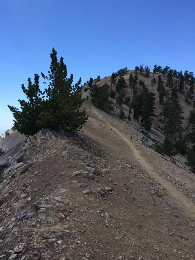Hiking Mt Baden-Powell