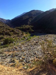 Hike the Bridge to Nowhere