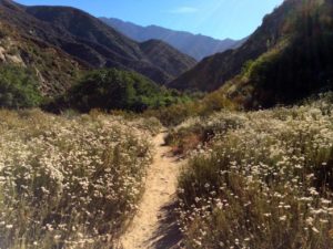 Hike the Bridge to Nowhere