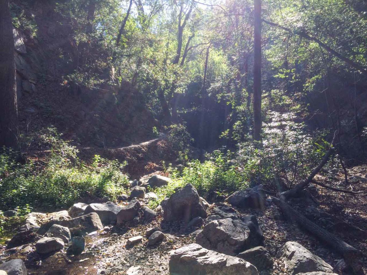 Chantry Flats to Sturtevant Camp and Mt Zion SoCal Hiker