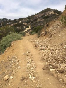 Head up the Rim Trail
